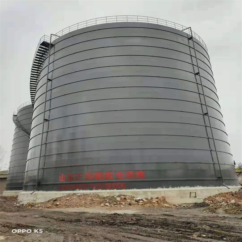 礼县3万吨大型钢板库