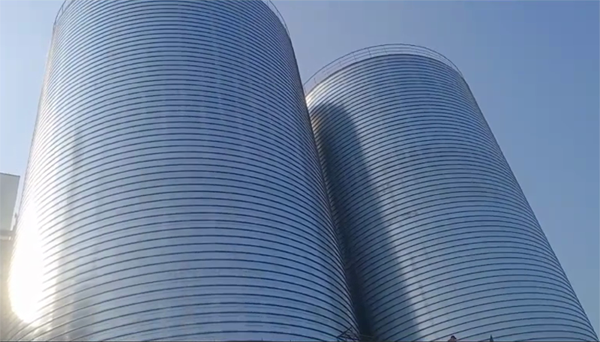 礼县2座混凝土高架卷板仓